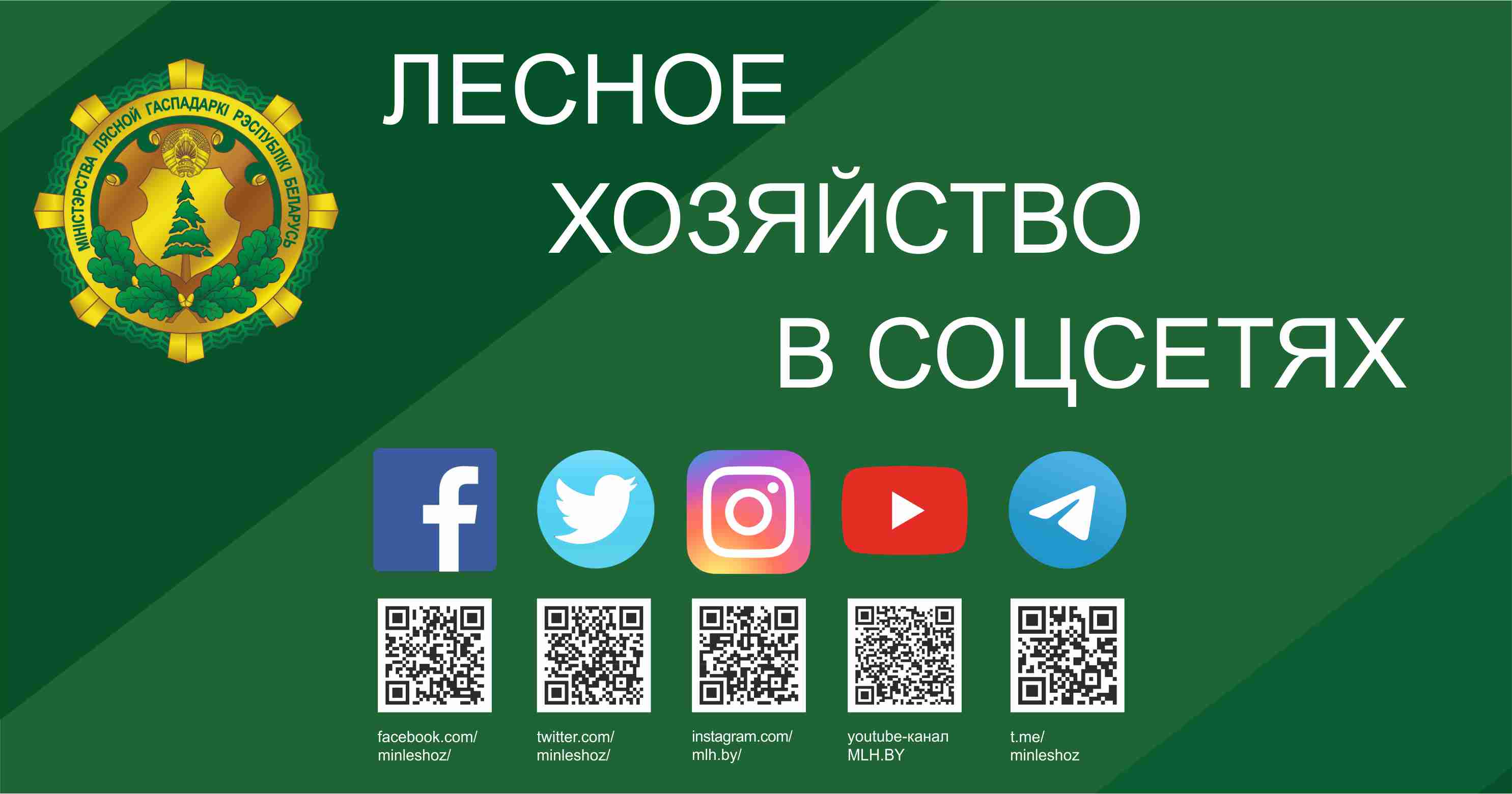 лестеное хозяйство в сецях