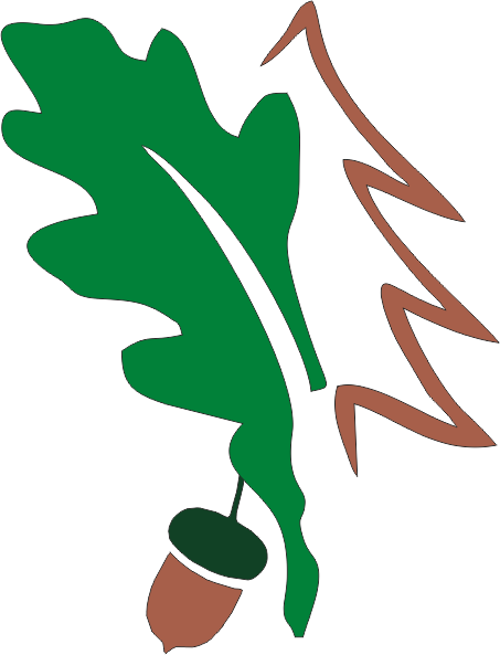 logo1