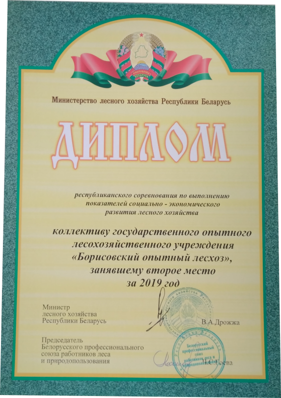diplom