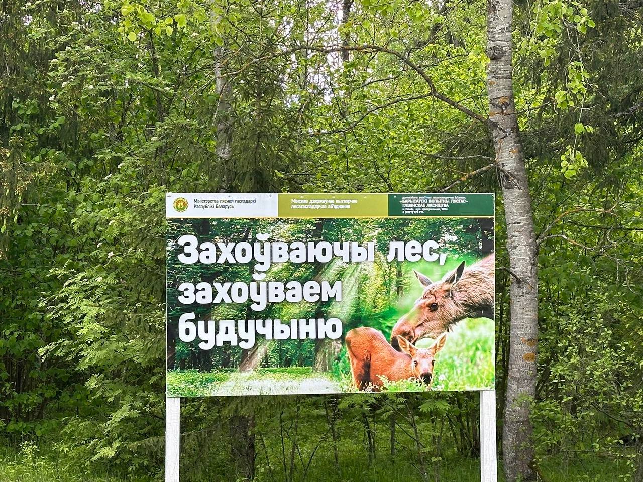 photo 2024 05 16 17 54 29
