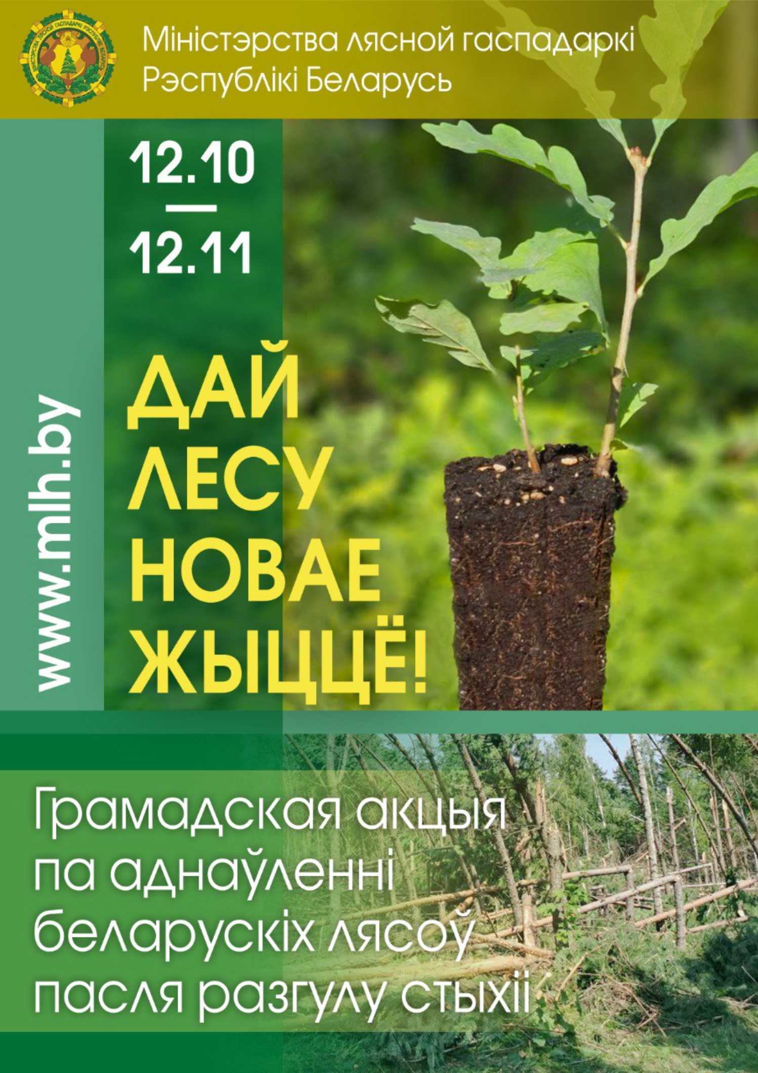 дай лесу