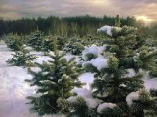 photo 2024 12 19 12 08 23