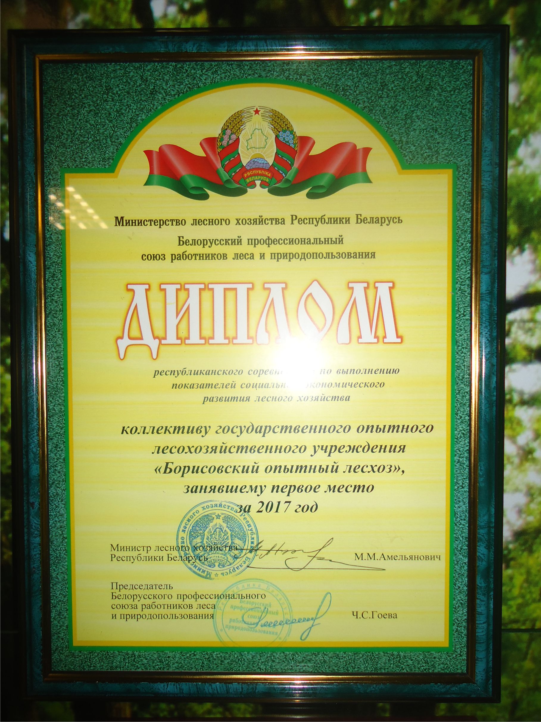Безымянный 1