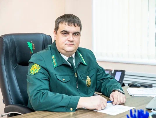 direktor