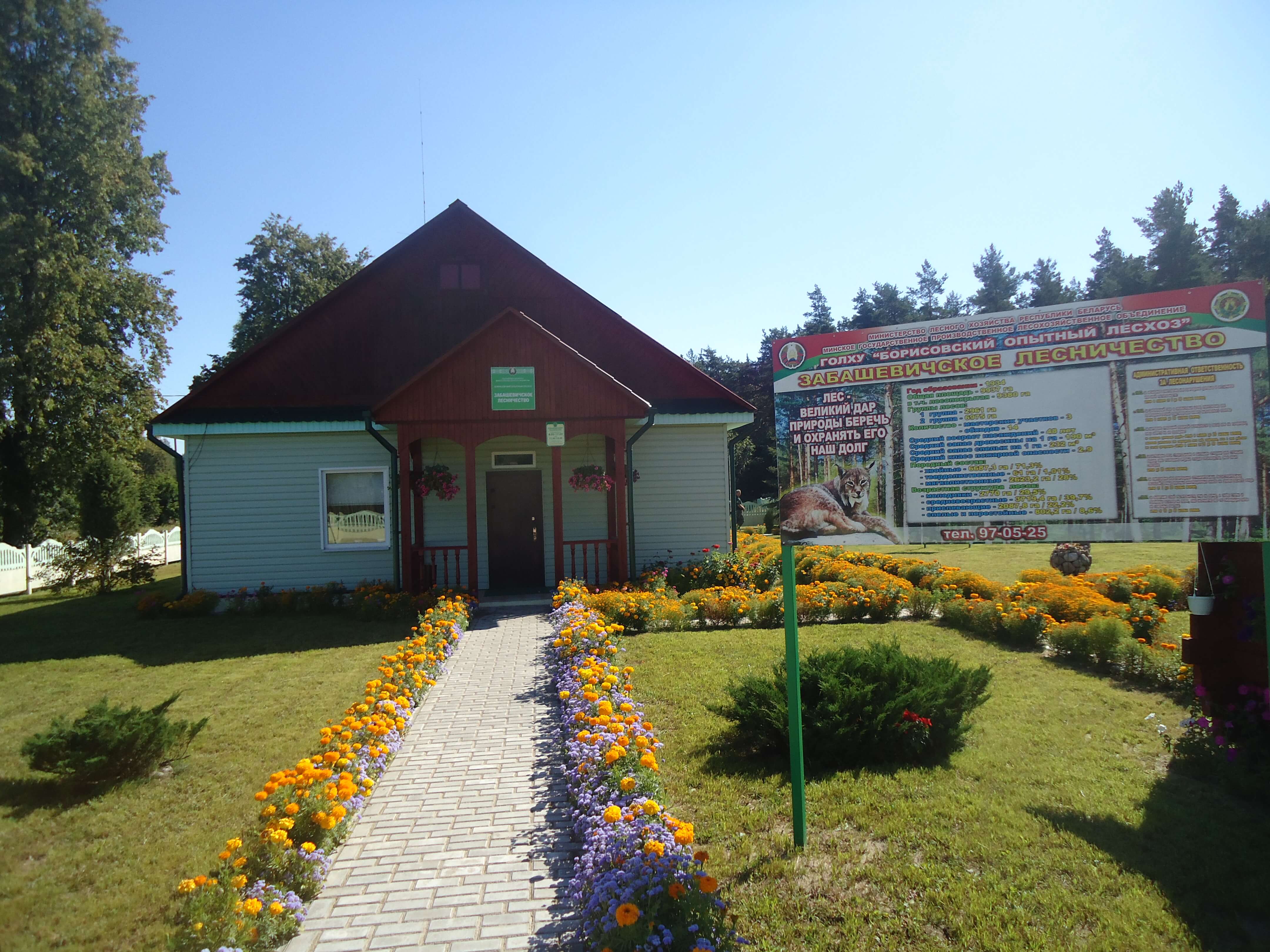 zabashevichi