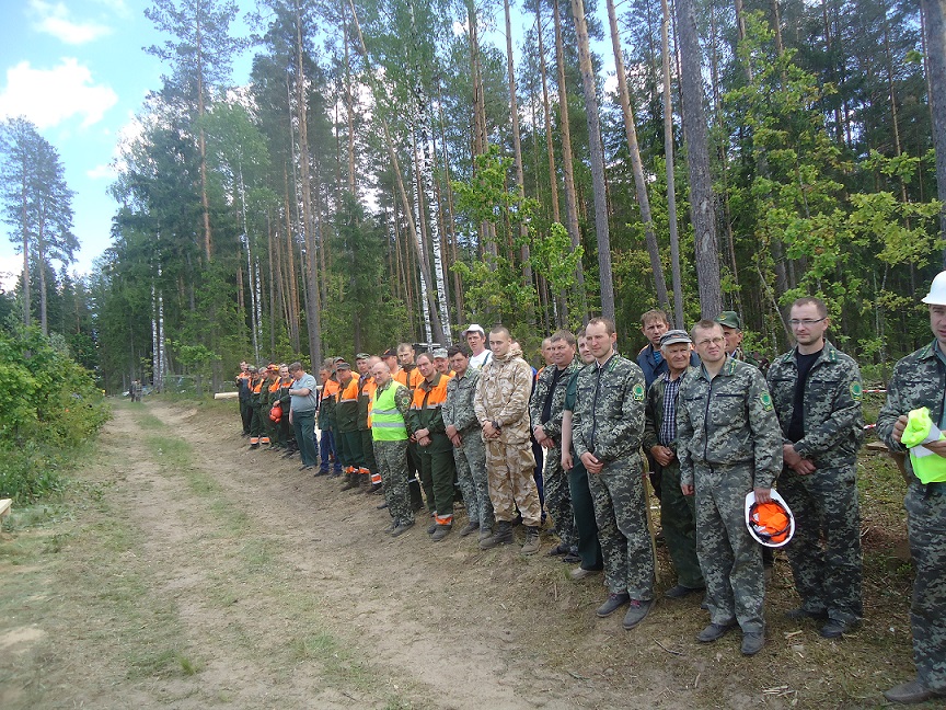 линейка