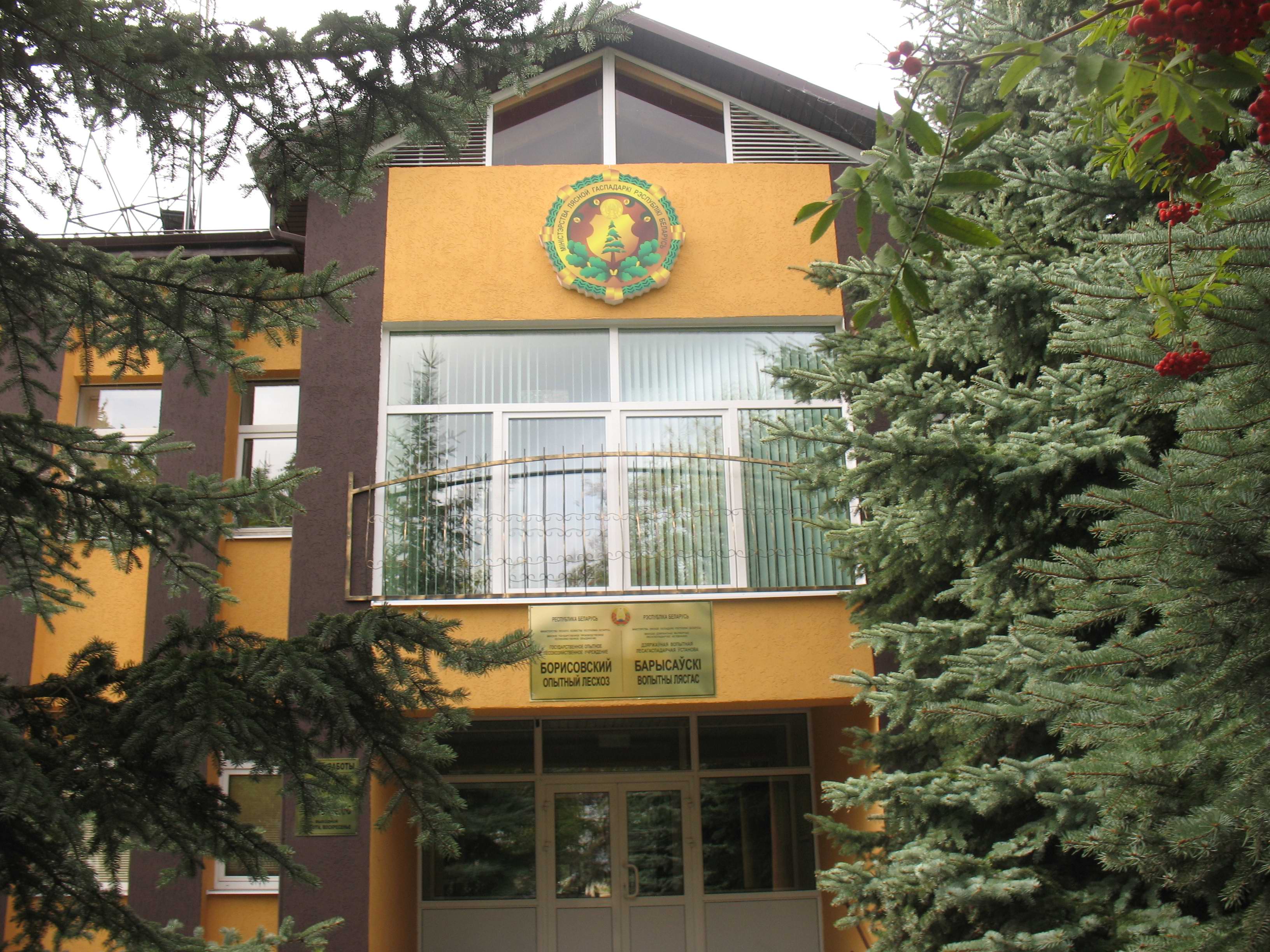фасад лесхоза1